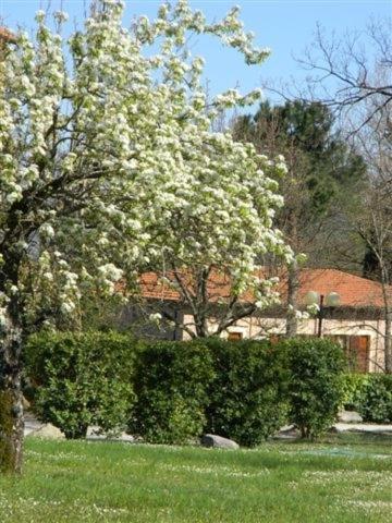 Hotel Residence Sant'Uberto Roccastrada Esterno foto